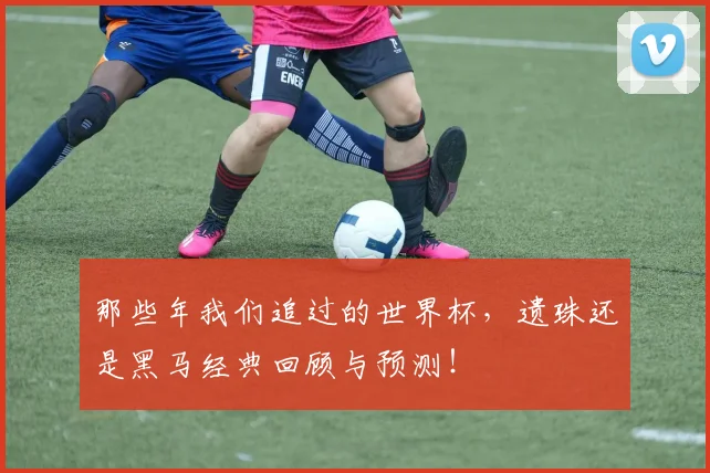 那些年我们追过的世界杯，遗珠还是黑马经典回顾与预测！